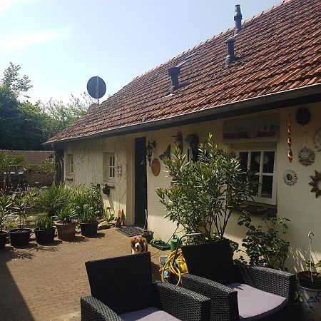 De Boerebeemd Bed & Breakfast Lieshout Екстериор снимка