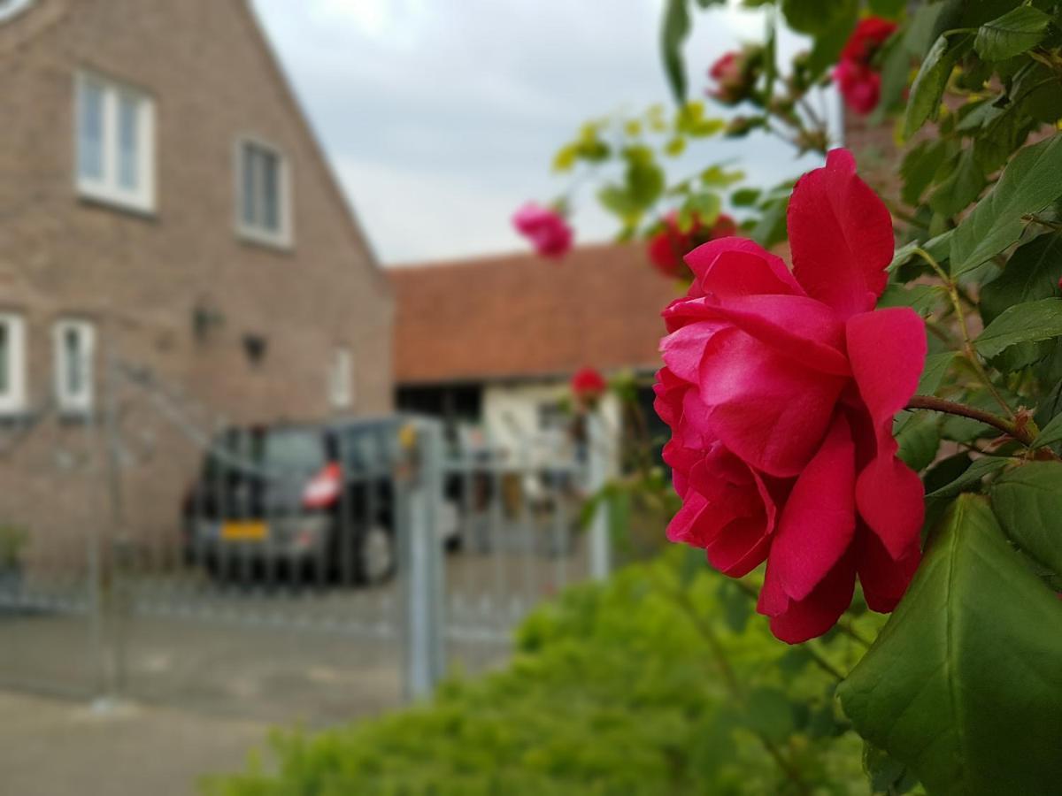 De Boerebeemd Bed & Breakfast Lieshout Екстериор снимка