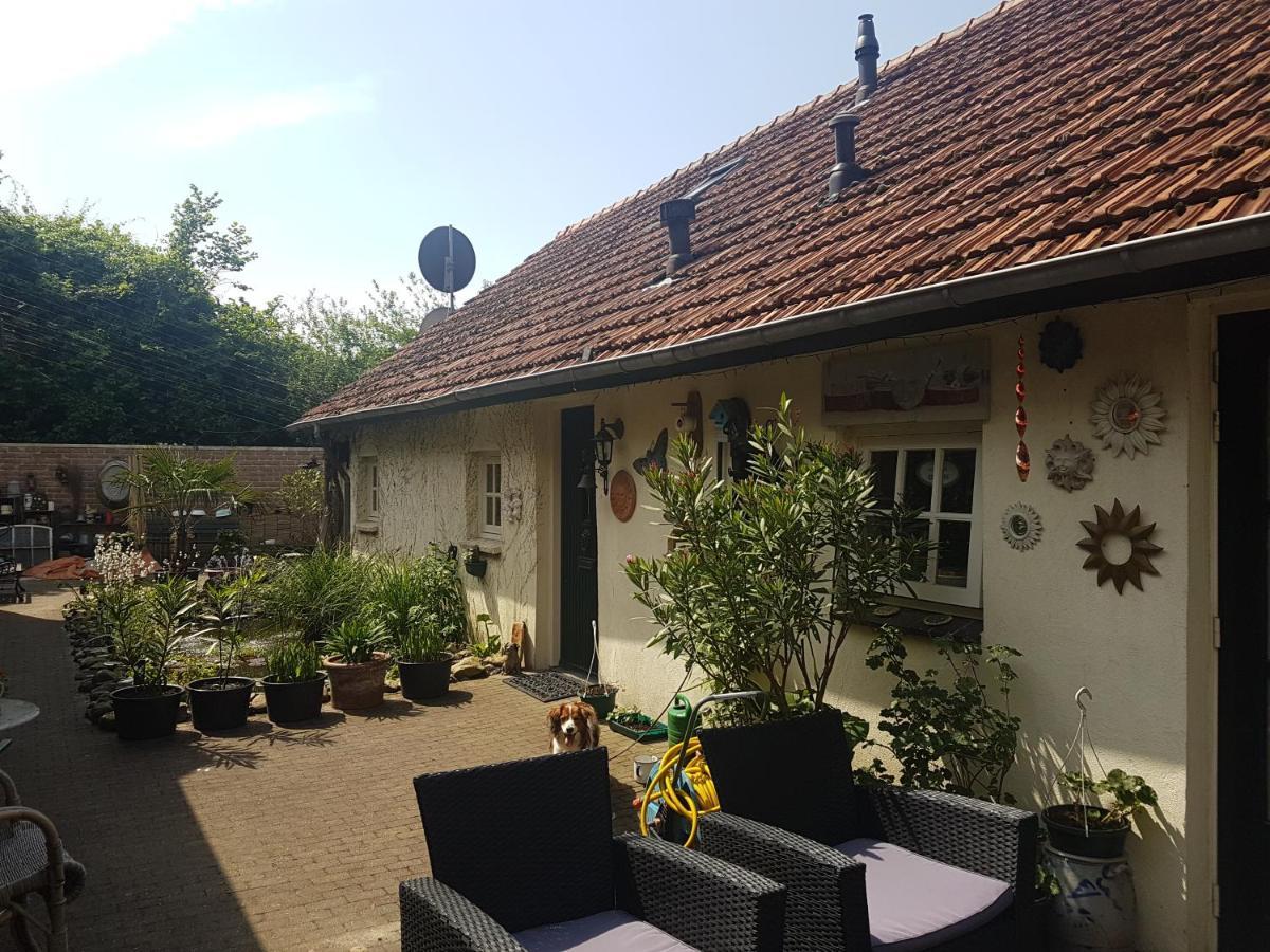 De Boerebeemd Bed & Breakfast Lieshout Екстериор снимка